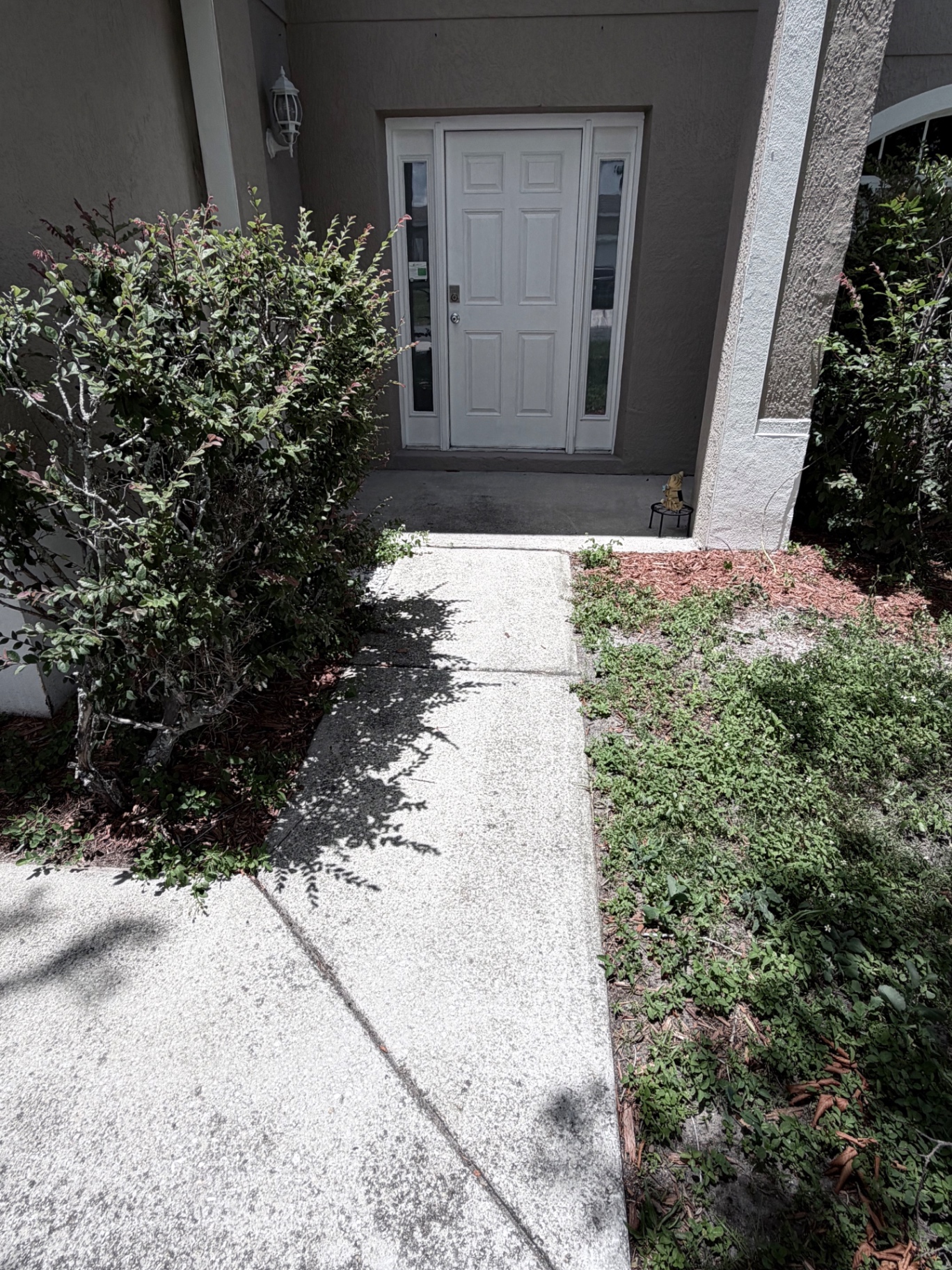 Front Walkway — Before